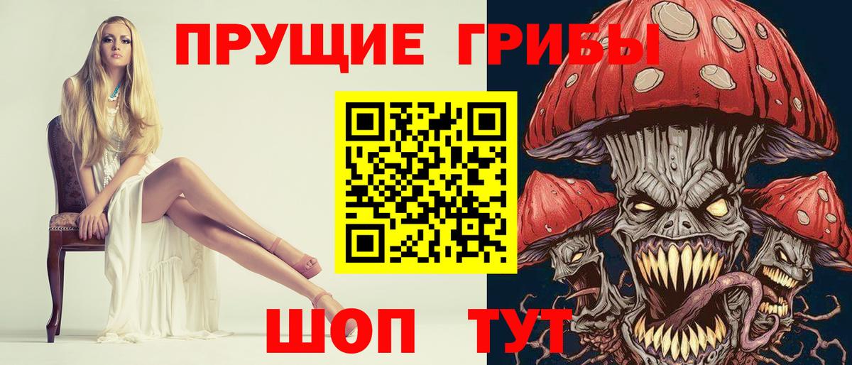 Димитровград  Псилоцибиновые грибы Psilocybe  Вход с VPN 